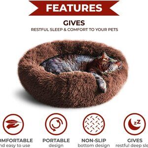 Whiskers & Friends Cat Bed